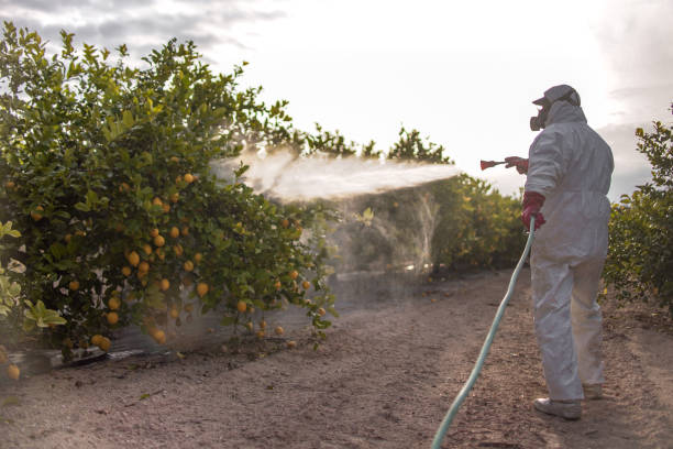 Reliable Laurel Springs, NJ Pest Control Solutions