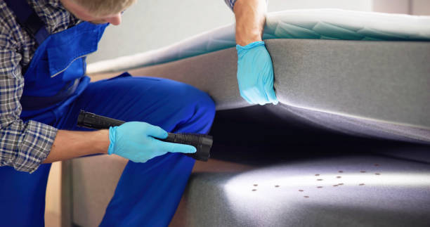 Best Affordable Pest Control Services  in Laurel Springs, NJ