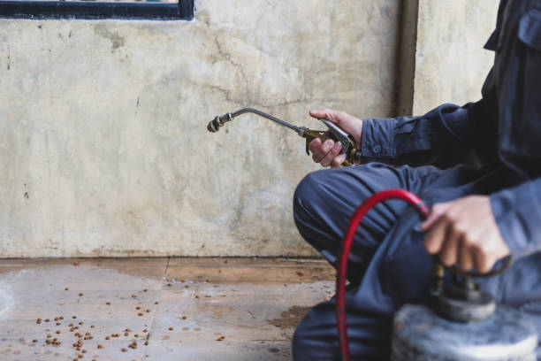 Best Pest Removal Services  in Laurel Springs, NJ
